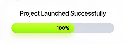 Project Launched Successfully
